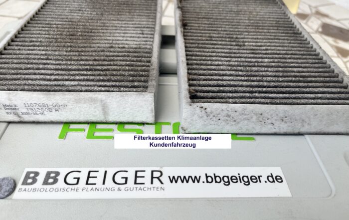 Schimmel im Auto: Klimaanlage als versteckte Gesundheitsgefahr - Tesla Model 3