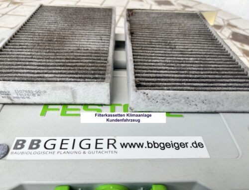 Schimmel im Auto – wo soll der denn „stecken“?
